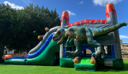 Mega T-Rex Mega Combo (Dry or Water Slide)