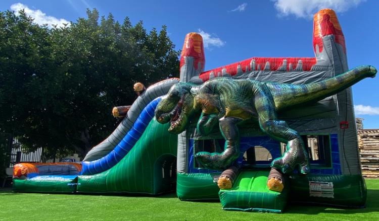 Dry and Water Slide Inflatables
